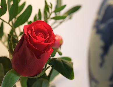 Pand 17 - Charming guesthouse Bruges